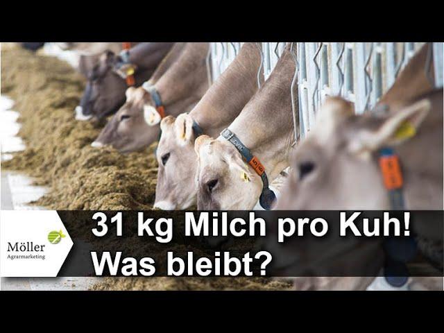 31 kg Milch pro Kuh/Tag: Wie viel Milcherlös fressen die Futterkosten bei Timo auf?