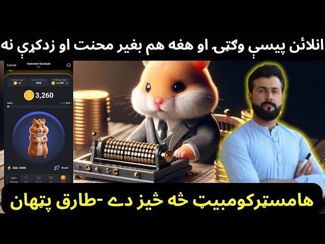 Reality of Hamster Kombat explained by Tariq Pathan