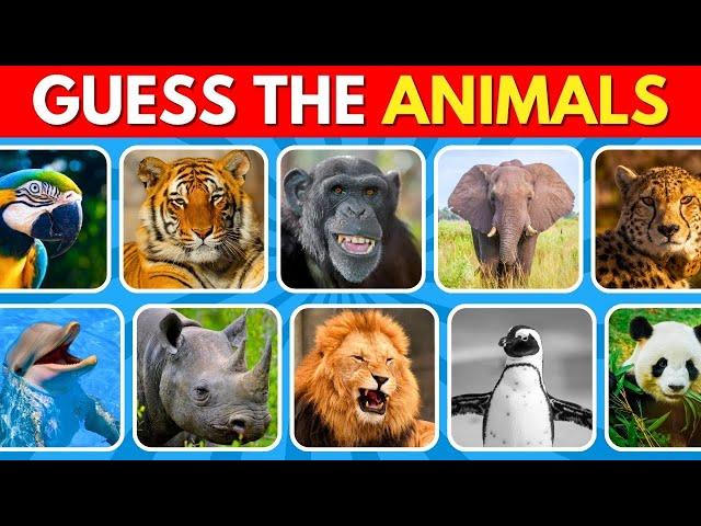 Guess 50 ANIMALS in Just 3 Seconds!  | Guess the Animal Challenge 