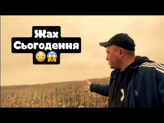 попав у РАЙ для пасічника і в АД для фермера 