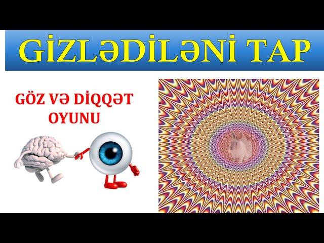 Şəkildə Gizlədiləni Tapa Bilərsiniz? Göz və Diqqət Oyunu | Şəkilli Tapmaca