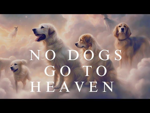 No Dogs Go To Heaven