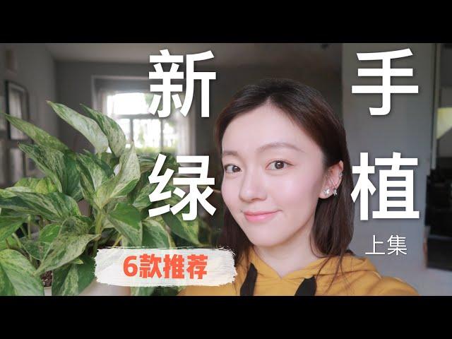 [EP01]六款新手室内绿植推荐 | 6 HOUSE PLANTS FOR BEGINNERS