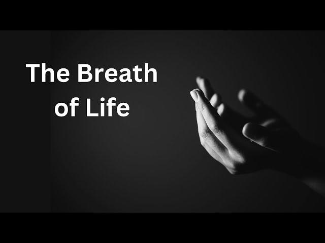 Lord, Teach Us to Pray #1: The Breath of Life