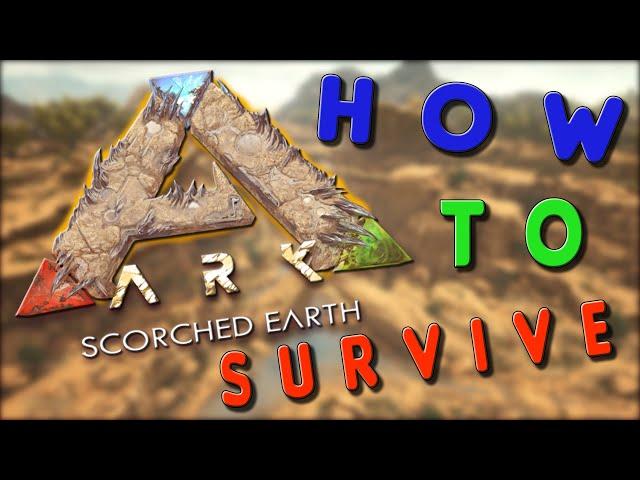 3 golden RULES, to SURVIVE on Scorched Earth