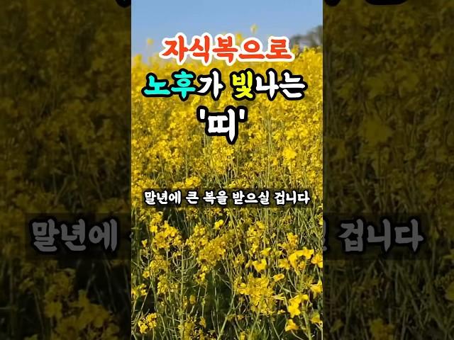 자식복으로 노후가 빛나는 띠 4가지 | 띠별운세 | 풍수