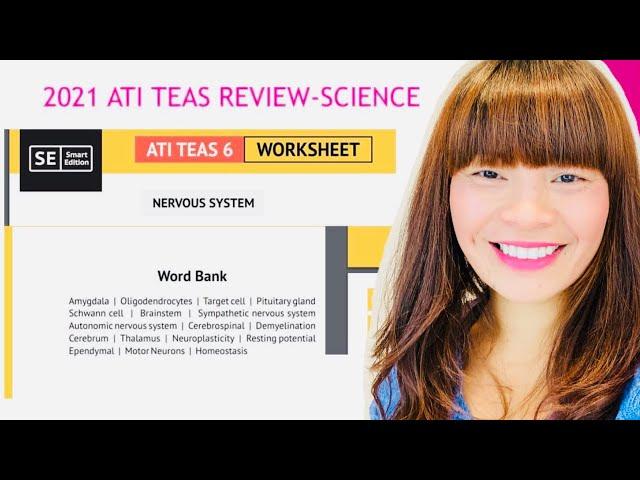 2021 ATI TEAS REVIEW NERVOUS SYSTEM Smart Edition Worksheet Study guide with Word Bank !