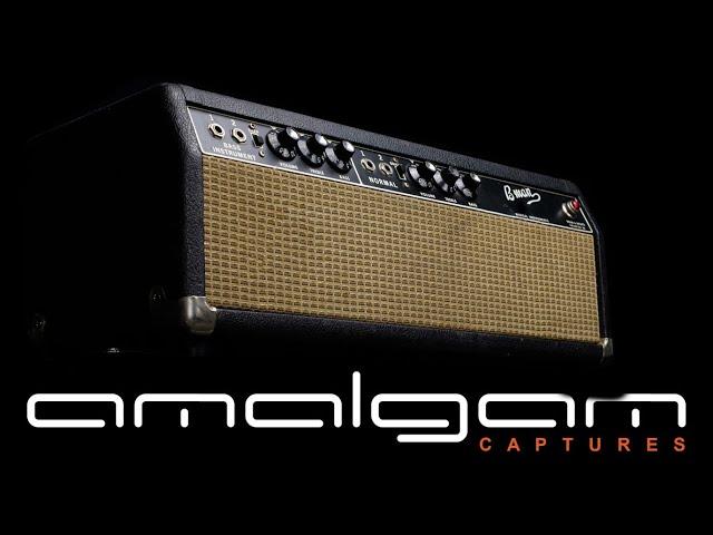 Philip Sayce style tones on 1966 Fender Blackface Bassman ToneX captures by amalgam audio