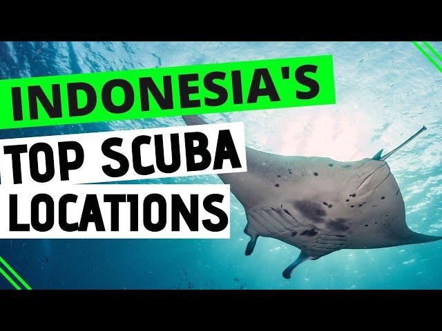 The Best Dive Sites in Indonesia! | Scuba Diving