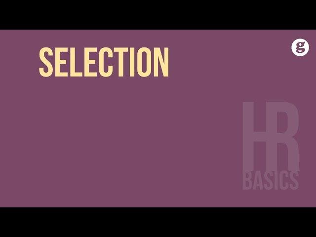 HR Basics: Selection 2e