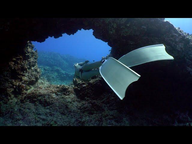 Learn to Freedive Hawaii with @sandyseabottom | Kona Freedivers