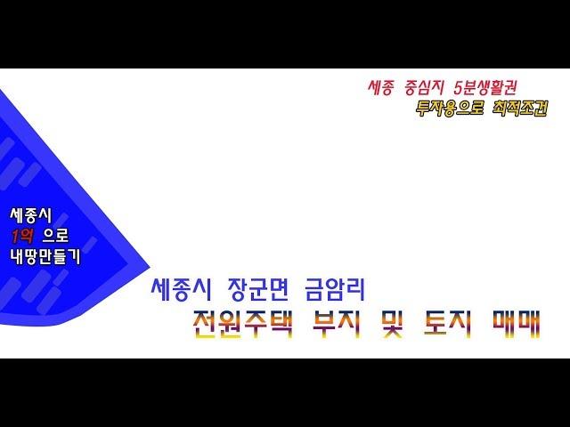 세종시 장군면 금암리 토지매매 평당 35만원