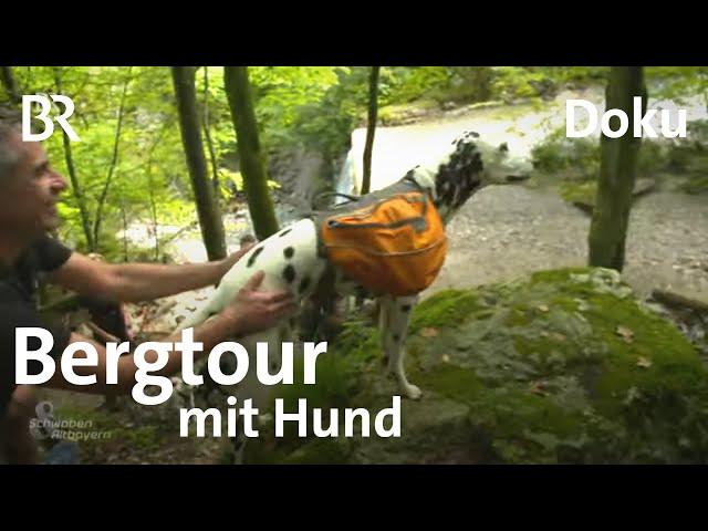 Auf gesicherten Pfoten mit Hunde-Trekking-Kurs: Mit dem Hund in die Berge | Schwaben & Altbayern |BR