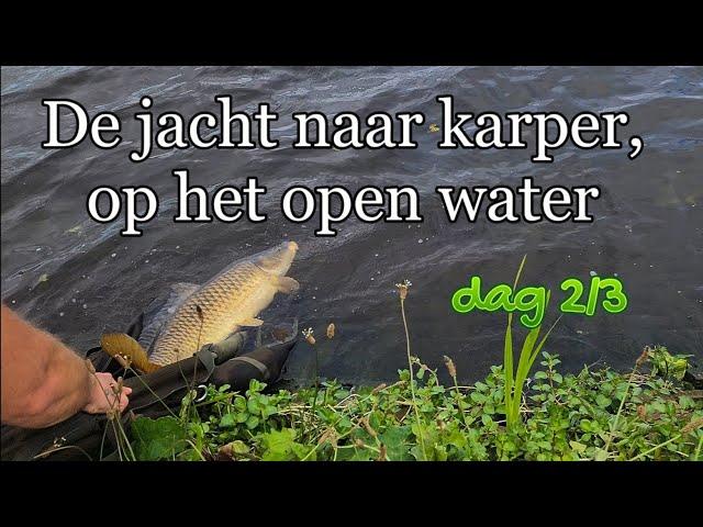 De jacht naar karper, op het open water! Dag 2/3