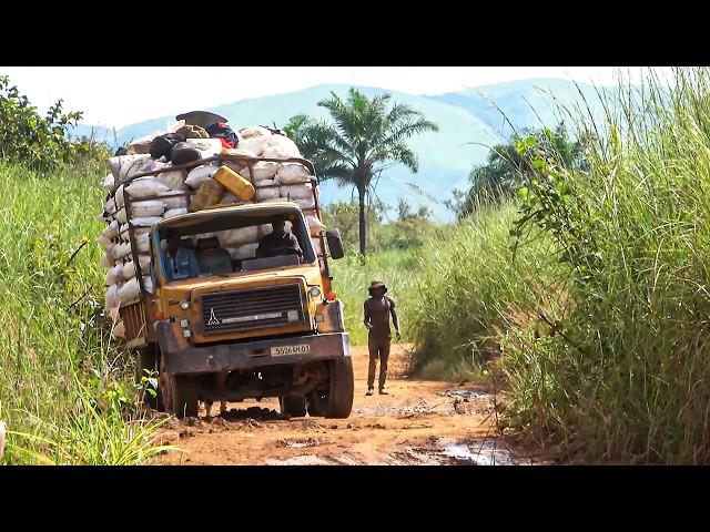 Surviving the Congo River: A Journey Like No Other