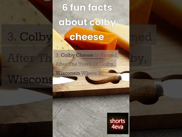 6 fun facts about colby cheese#shortsfeed #shorts