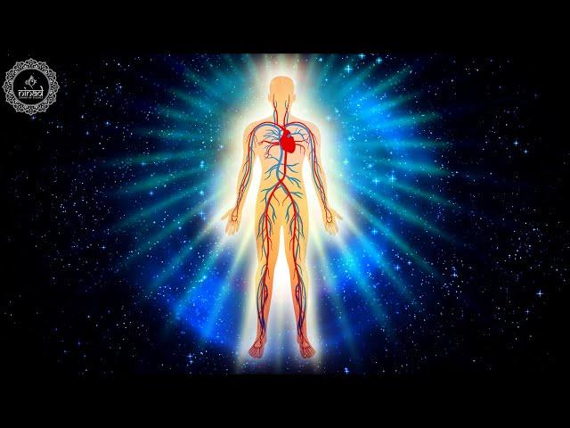 Heal Your Vagus Nerve | Parasympathetic Nervous System Stimulation | Lessens Sense of Stress -741 Hz