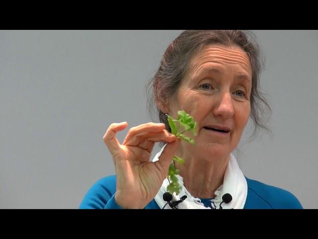 Barbara O'Neill - Part 11: Herbs