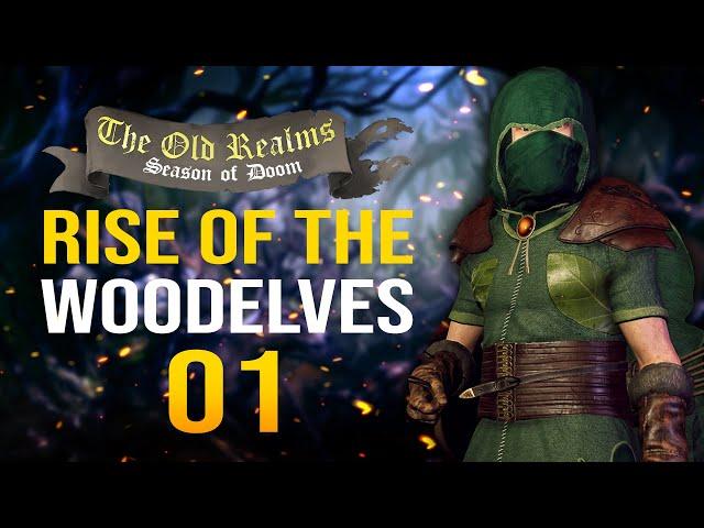 RISE OF THE WOOD ELVES! The Old Realms Warhammer Mod - Mount & Blade II: Bannerlord - Wood Elf #1