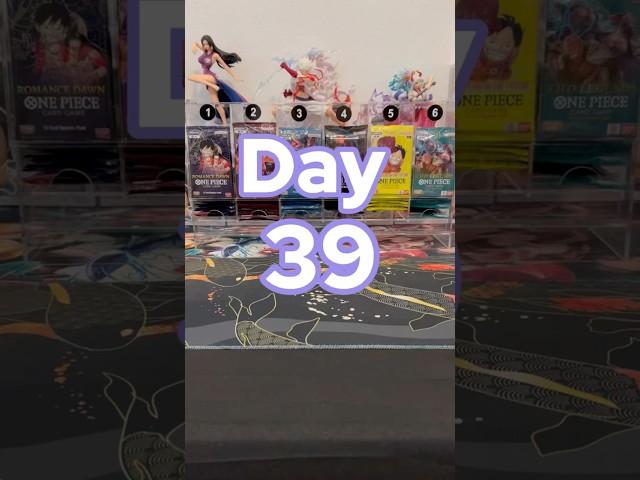 Day 39: OPENING ONE PIECE PACK UNTIL WE HIT A MANGA RARE! #onepieceseries #cards #anime #series