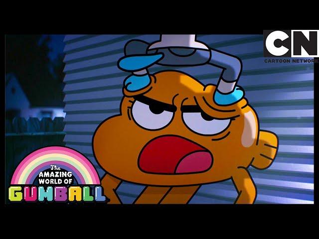 Darwin Doesn't Exist Without Gumball | The Sidekick | Gumball | Cartoon Network