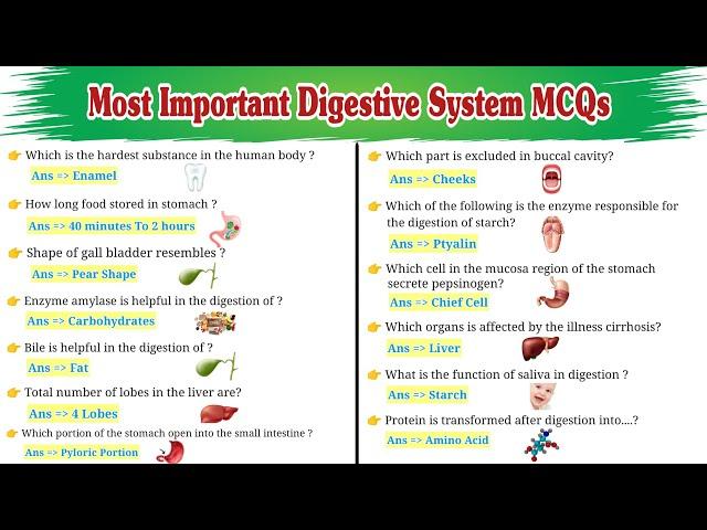 Digestive System MCQs | General Knowledge MCQs