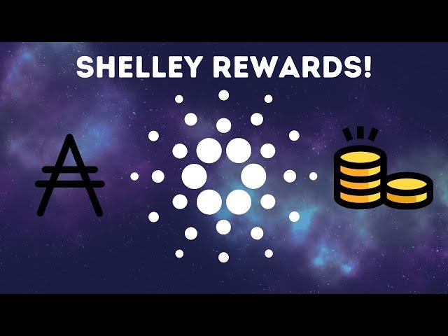 How To Check Cardano Staking Rewards - ADA Passive Income!