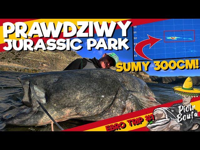 Sumy w Hiszpanii - czyli prawdziwy JURASSIC PARK / Największe SUMY na świecie - WYPRAWA NA EBRO #1