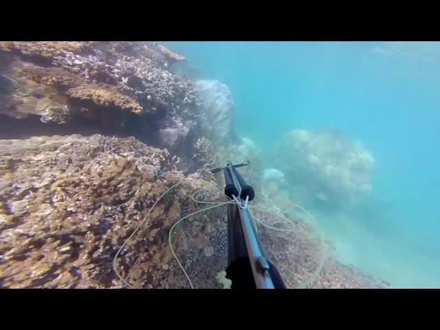 Pti test go pro a la plage du mt dore mdr