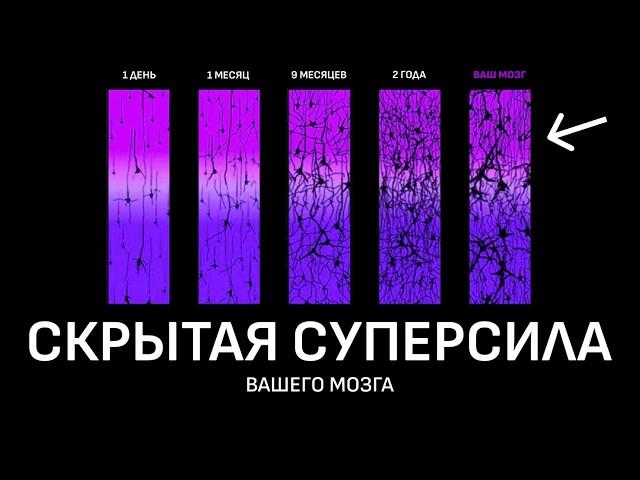 Самое недооцененное свойство мозга