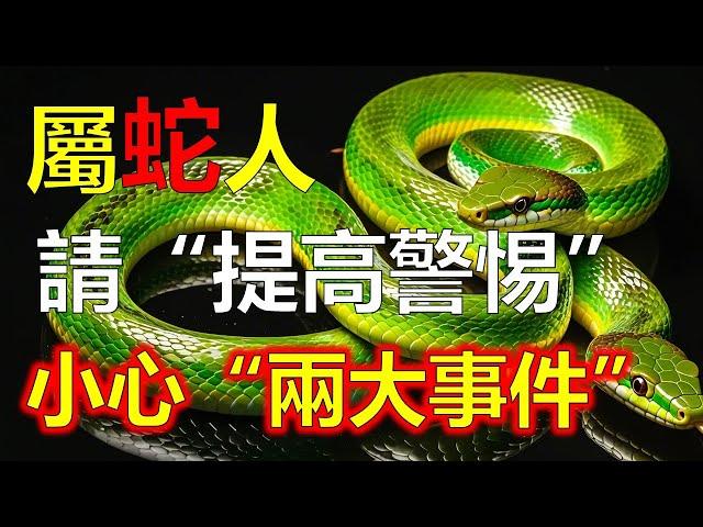 屬蛇人請“提高警惕”：需要小心“兩大事件”，不是迷信，屬蛇人早看早預防！生肖蛇將成大財主，躲不掉！屬蛇的夫妻許多危險，屬蛇夫妻都喜歡賺錢，十二生肖，生肖運勢（生肖）#生肖運勢 #生肖 #十二生肖