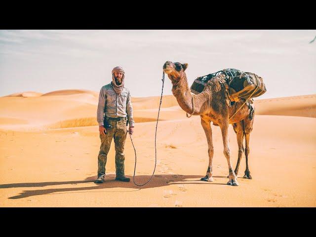8 Tage durch die Sahara - Wüsten DSÜ mit Kamelen