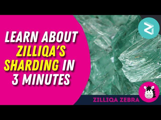 Learn about Zilliqa's Sharding in 3 Minutes