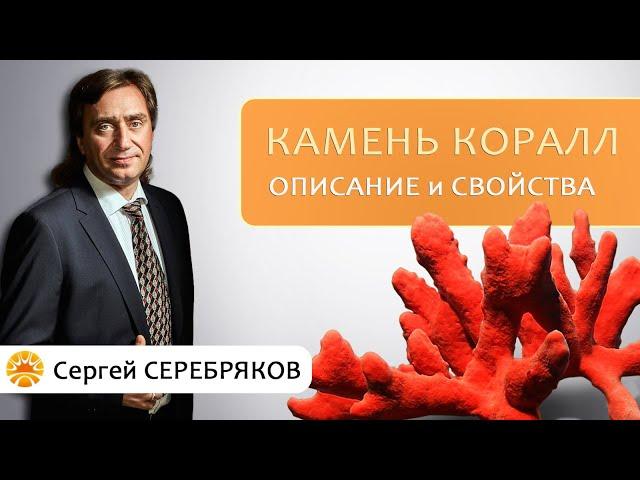 Камень Коралл. Описание и свойства. Сергей Серебряков