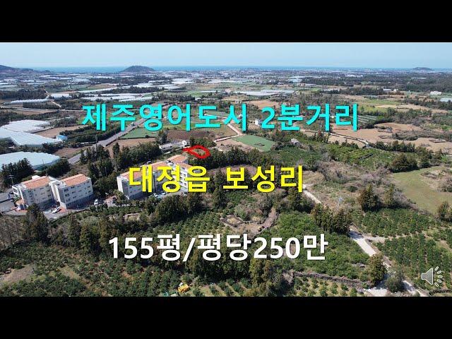 [제주빠빠] 제주영어도시 2분거리 ｜대정읍 보성리 155평 ｜토지매매 평당250만원  010-3318-5088