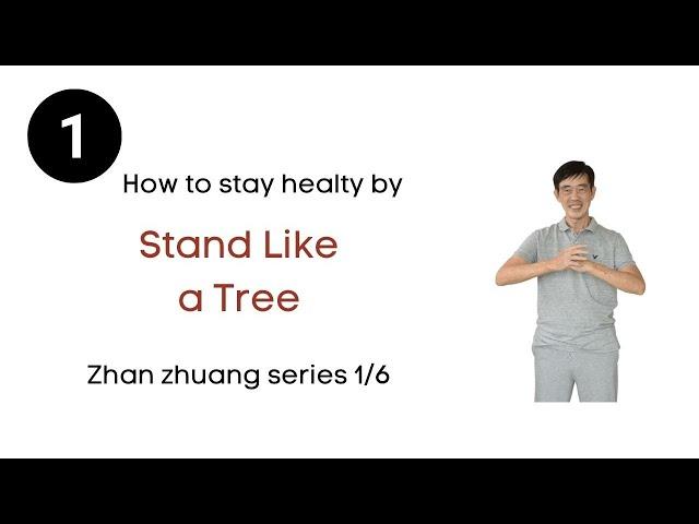 Zhan Zhuang - How to stay healthy by standing Like a tree (1/6)