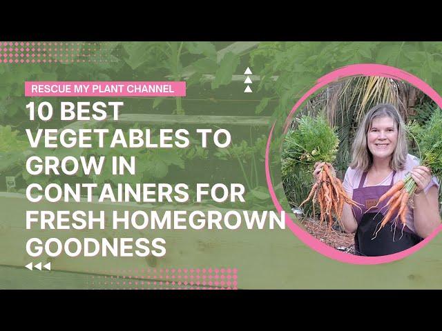 10 Best Vegetables to Grow in Containers