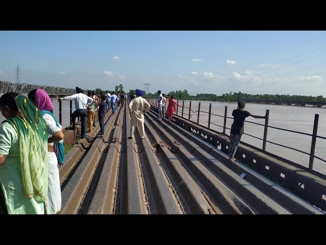 sutlej river flood ludhiana phillaur latest video