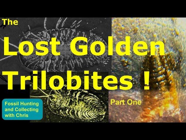 Lost Golden Trilobites ! The Beecher Trilobite Bed Pyritized Fossils, Fossil Hunting & Collecting