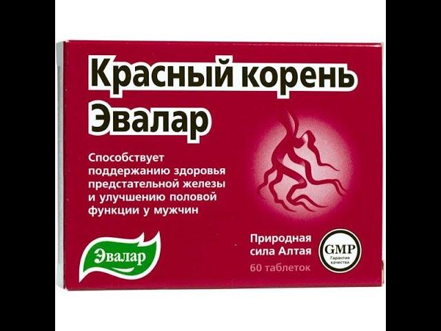 адаптоген красный корень/копеечник для лечения простатита, потенции и хронической усталости