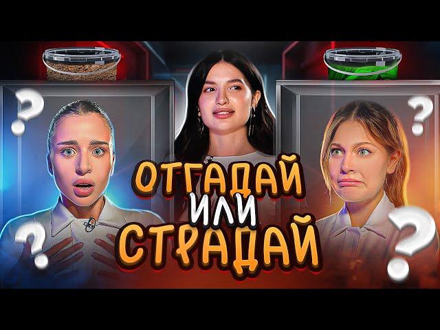 ОТГАДАЙ или СТРАДАЙ ШОУ (Дилара, Адель)