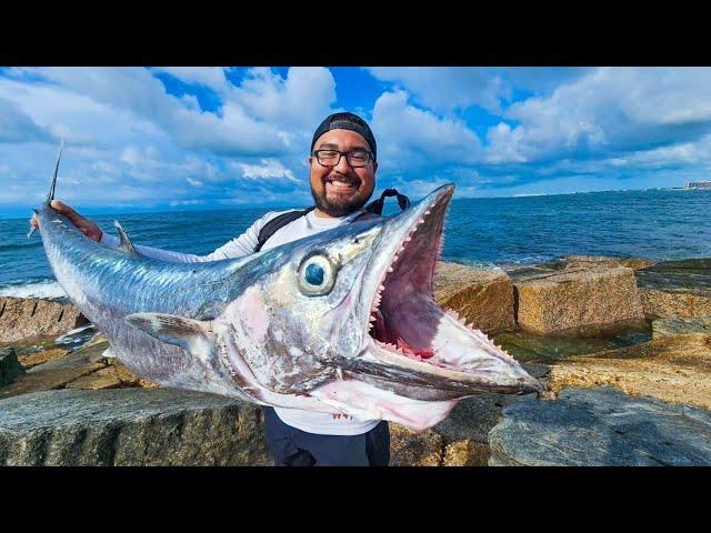 Jetty Fishing Port Aransas For Kingfish