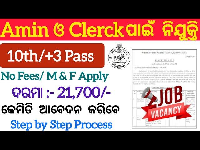 Odisha Amin/Clerk Recruitment 2024 ! Apply Offline Now 10th/+3 Pass Jobs ! Salary Up to 69, 100/- PM