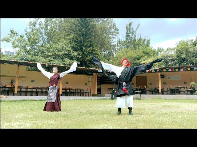 ནགས་ཤོད་འབྲི་རུའི་ཞབས་བྲོ། Tibet nagshod Driru folk dance.#driru #nashod #dance