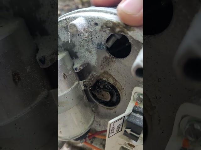 Pool Pump won't Start up, CHECK THIS FIRST!