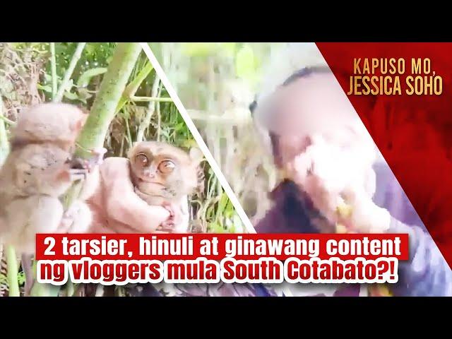 2 tarsier, hinuli at ginawang content ng vloggers mula South Cotabato?! | Kapuso Mo, Jessica Soho
