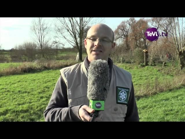 Parc Naturel Régional des Marais du Cotentin et du Bessin : Atelier nichoirs