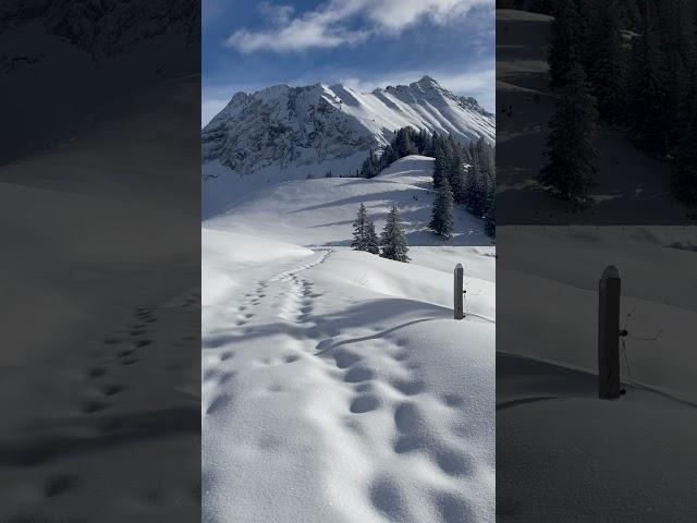 Snowshoeing at the Col de Soladier #myvaud #vaud #swisslifestyle