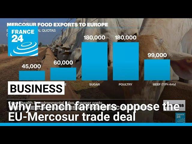 Why French farmers oppose the EU-Mercosur free trade deal • FRANCE 24 English