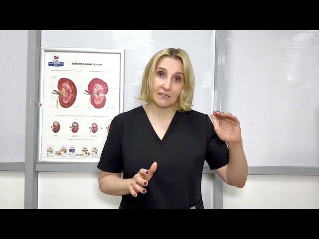 Как Хроническая болезнь почек избавляет от мочекаменной болезни?